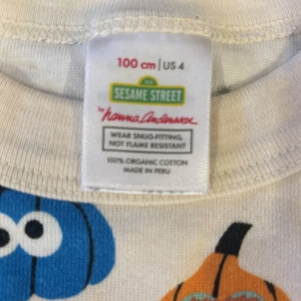 Hanna Andersson Sesame Street Character Pumpkin PJ Set Size‎ 100 US 4